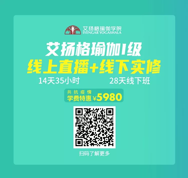 678体育官方网站图片