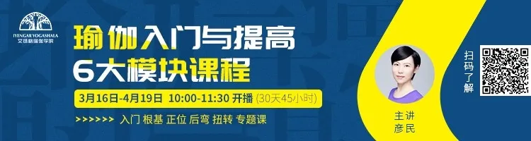 678体育官方网站图片