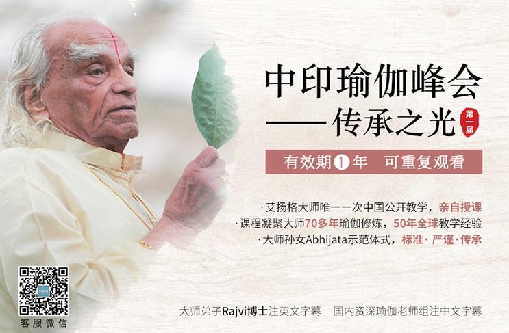 第一届『中印瑜伽峰会』-678体育大师亲授