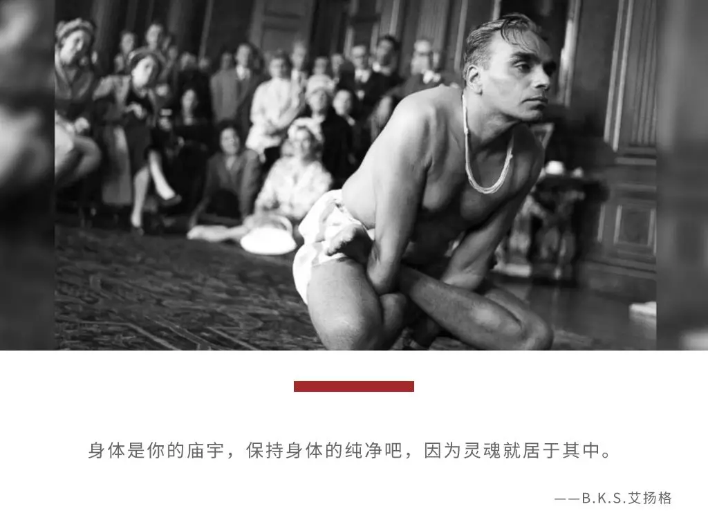 678体育官方网站图片