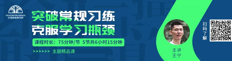 678体育官方网站图片