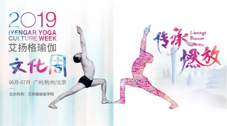 678体育官方网站图片