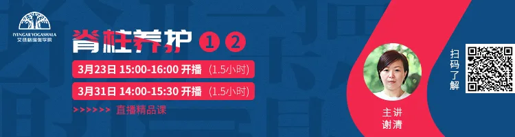 678体育官方网站图片