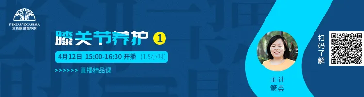 678体育官方网站图片