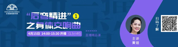 678体育官方网站图片