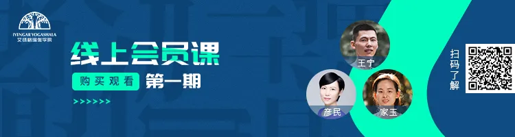 678体育官方网站图片