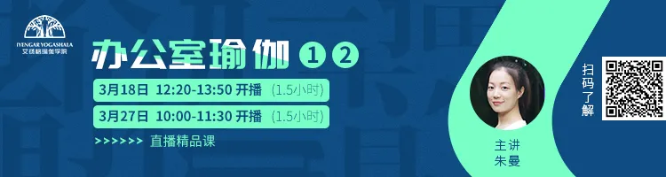 678体育官方网站图片