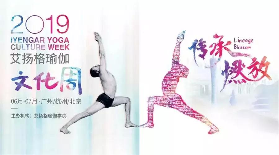678体育官方网站图片