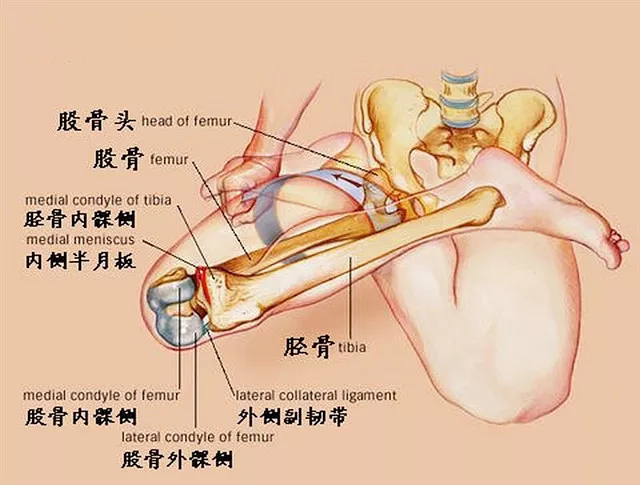 678体育官方网站图片