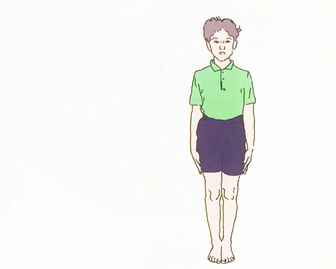 678体育官方网站图片