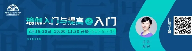 678体育官方网站图片