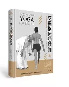 678体育官方网站图片