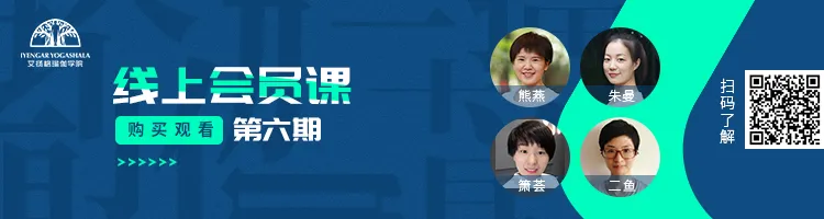 678体育官方网站图片