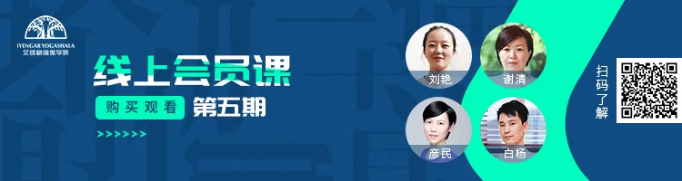 678体育官方网站图片