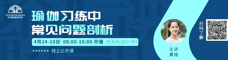 678体育官方网站图片