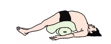 678体育官方网站图片