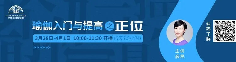 678体育官方网站图片