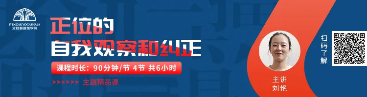 678体育官方网站图片