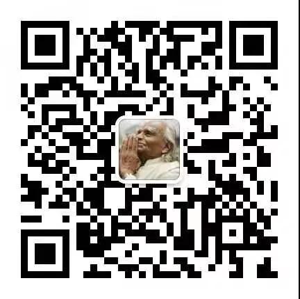 678体育官方网站图片