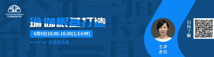 678体育官方网站图片