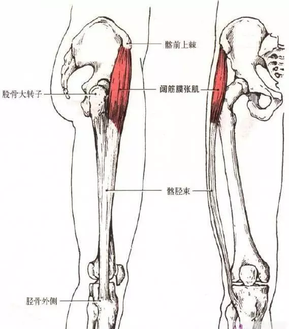 678体育官方网站图片