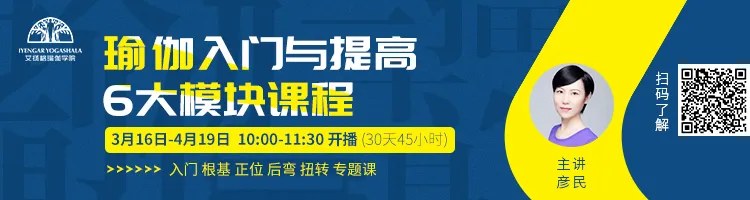 678体育官方网站图片