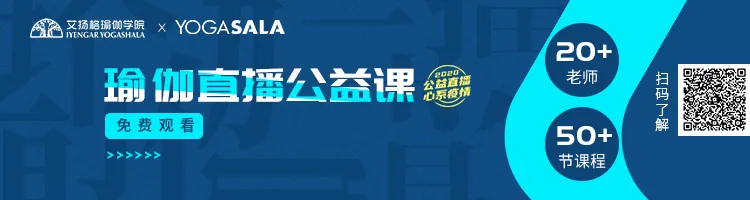 678体育官方网站图片