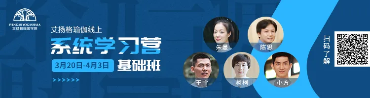 678体育官方网站图片