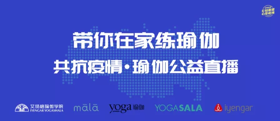 678体育官方网站图片