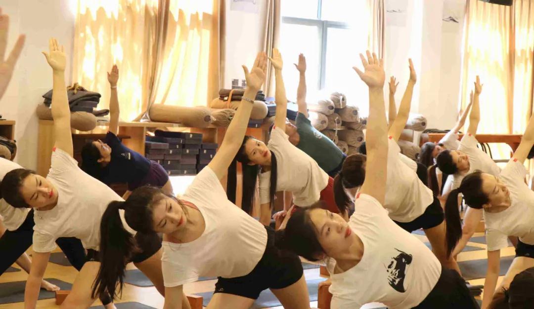 678体育官方网站图片