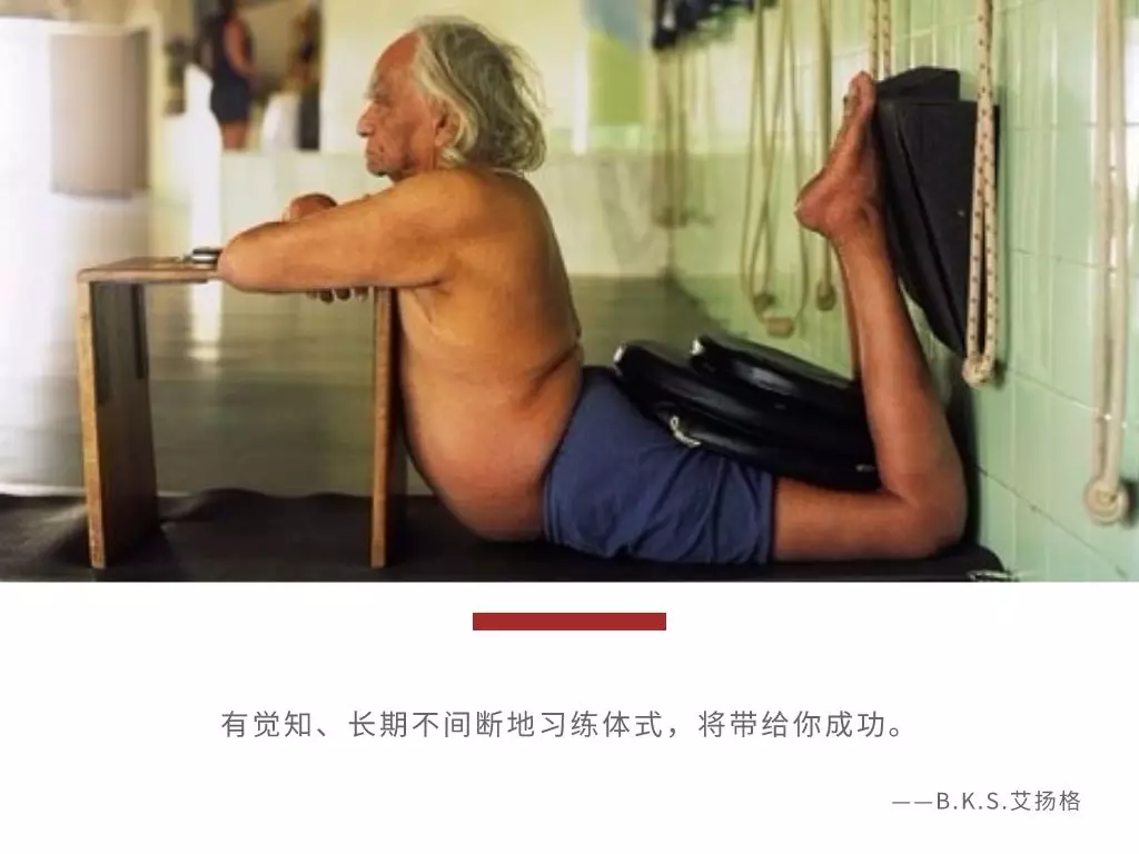 678体育官方网站图片