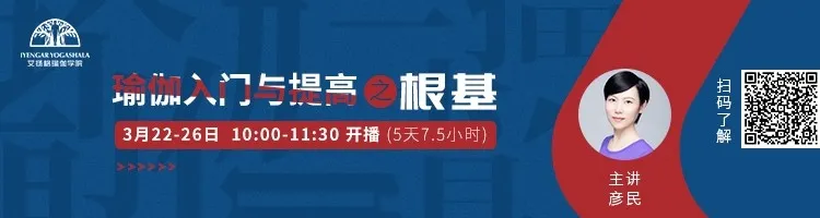 678体育官方网站图片