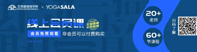 678体育官方网站图片