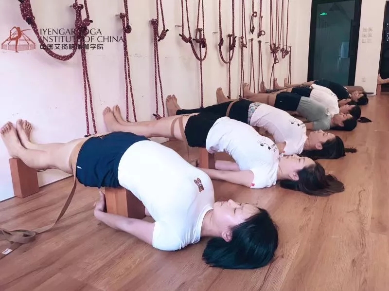 678体育官方网站图片