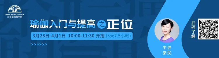678体育官方网站图片