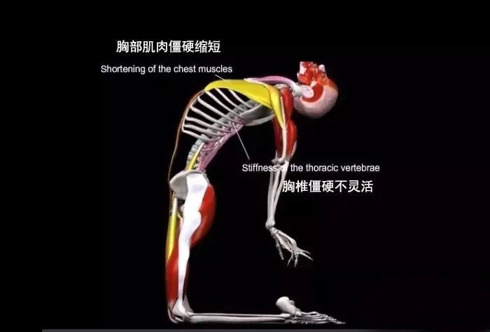 678体育官方网站图片