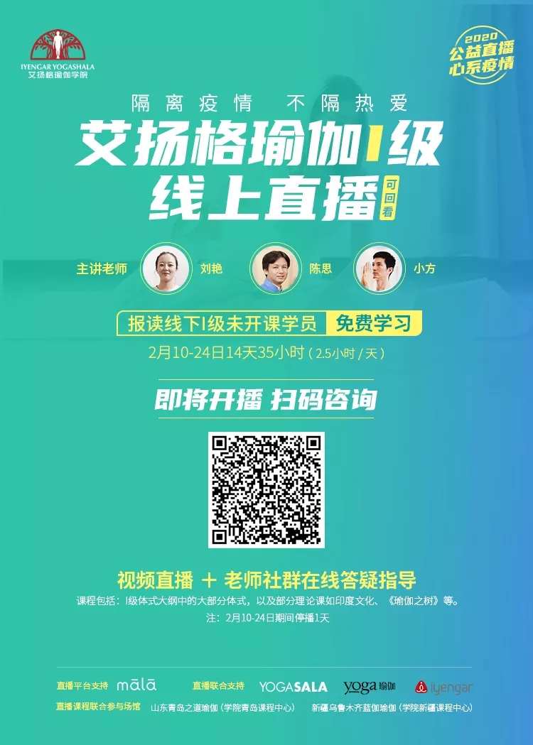 678体育官方网站图片
