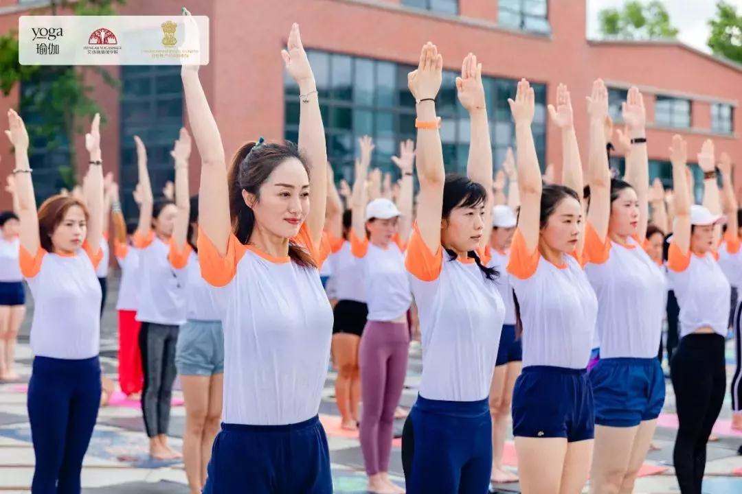 678体育官方网站图片