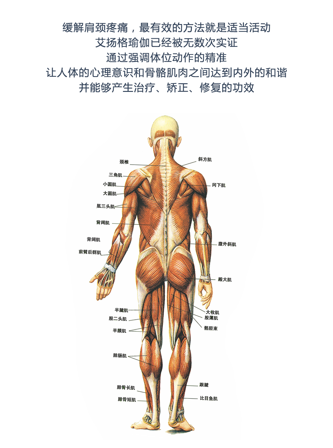678体育官方网站图片
