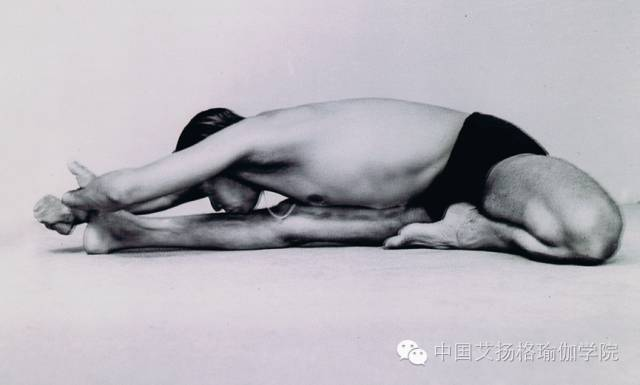 678体育官方网站图片