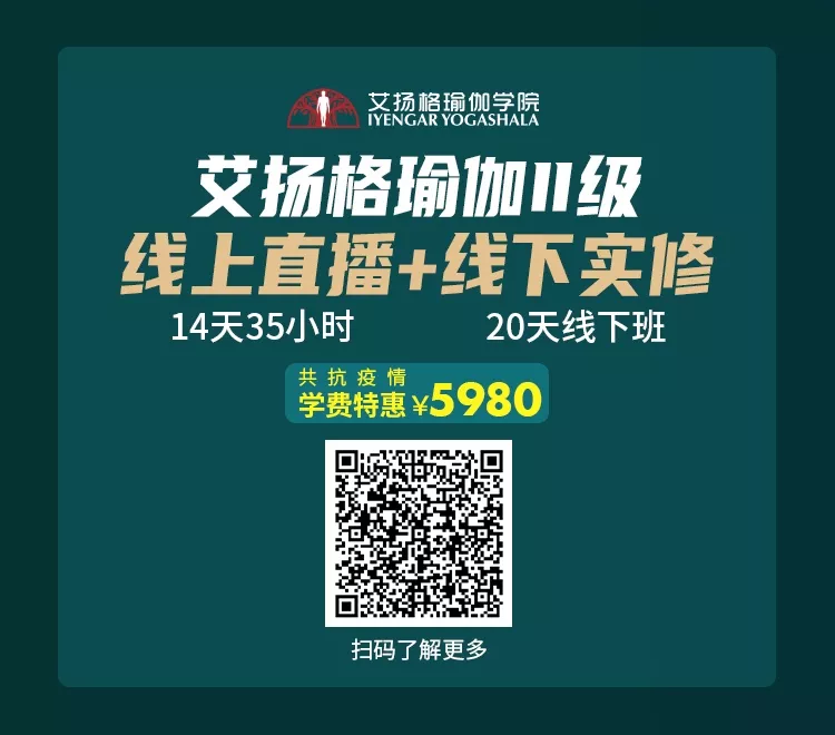 678体育官方网站图片