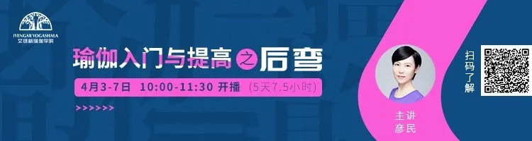 678体育官方网站图片