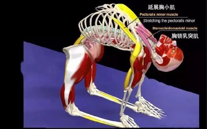 678体育官方网站图片
