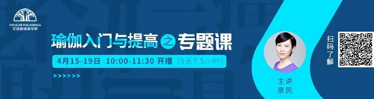 678体育官方网站图片