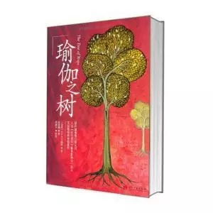 678体育官方网站图片