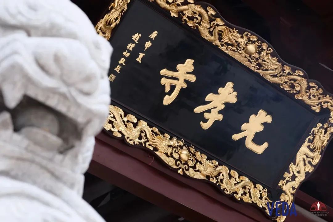 678体育官方网站图片