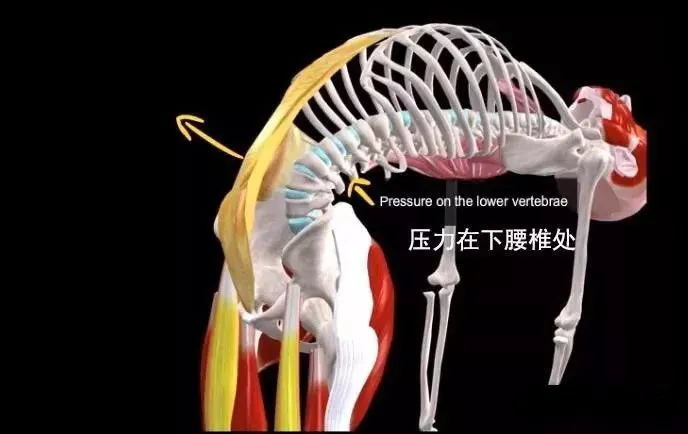 678体育官方网站图片