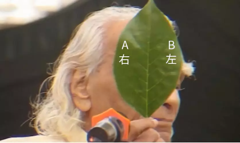 678体育官方网站图片