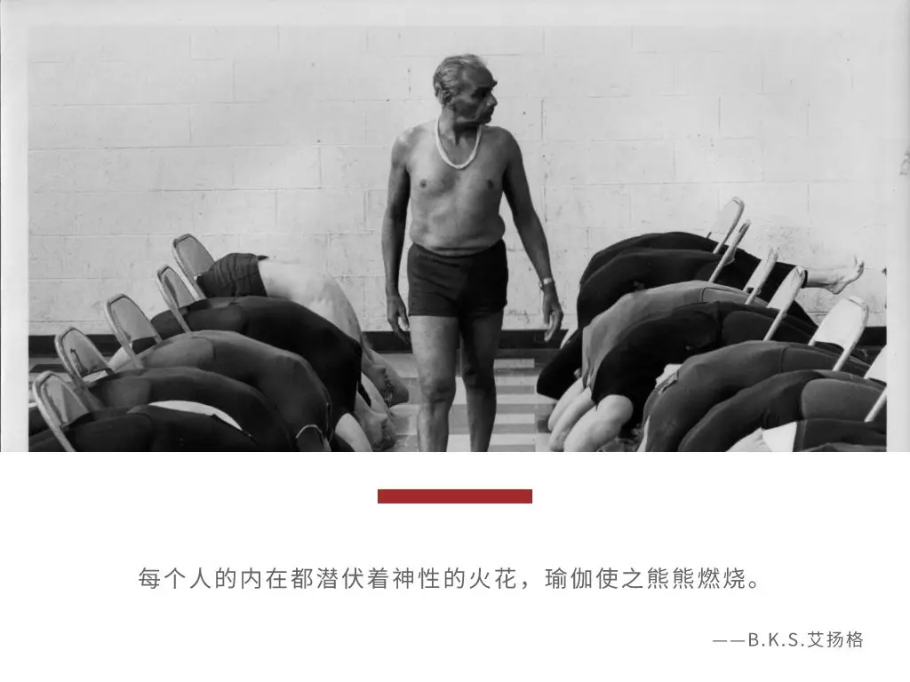 678体育官方网站图片