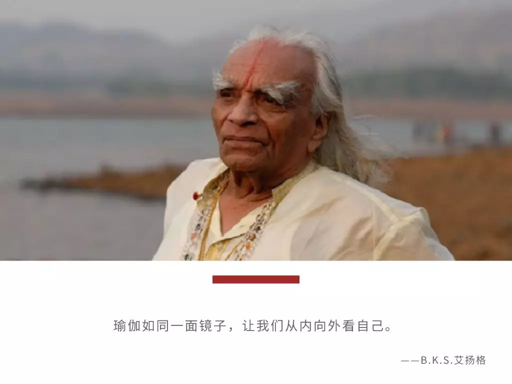 678体育官方网站图片